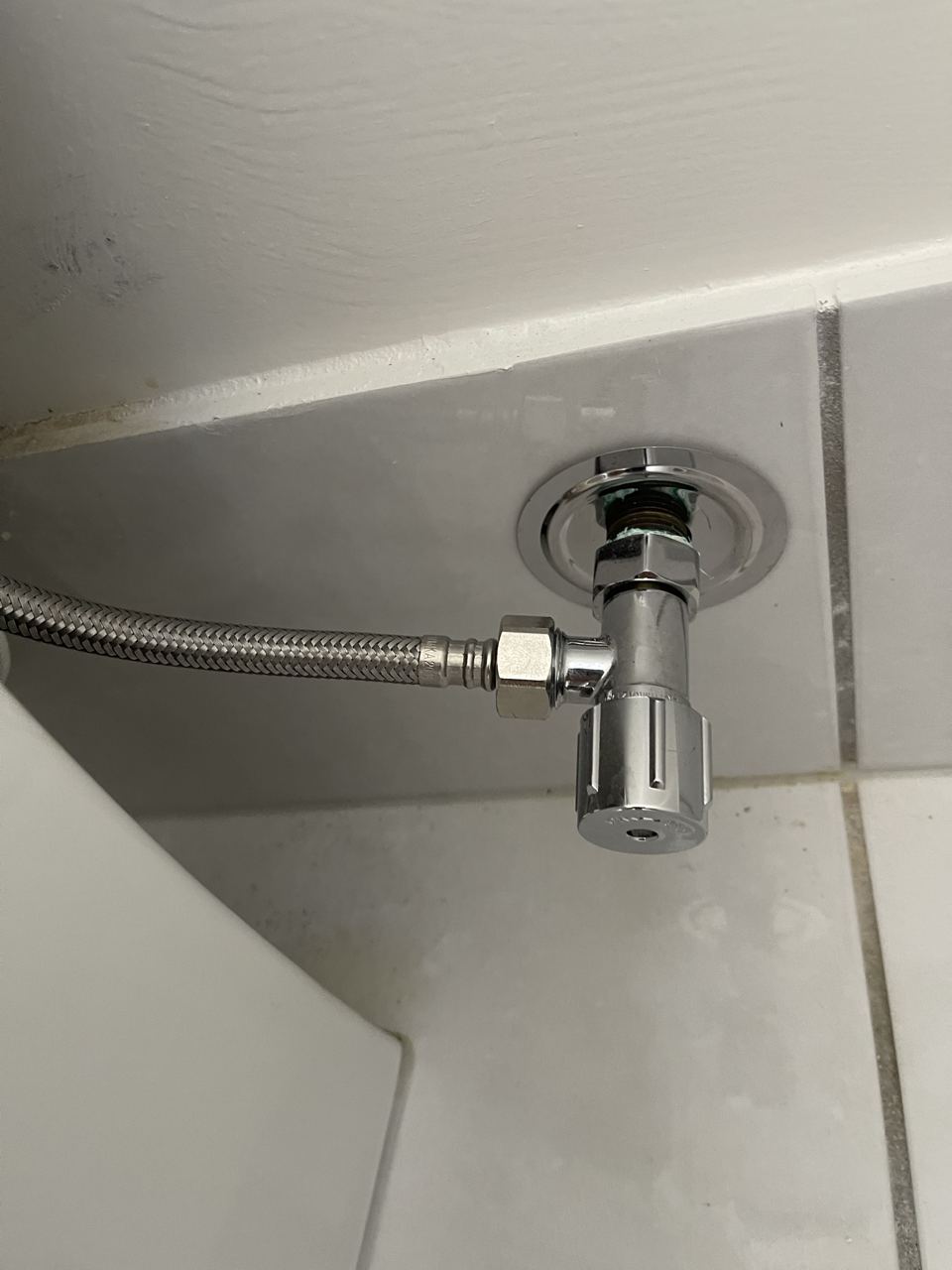 Bathroom & toilet refresh