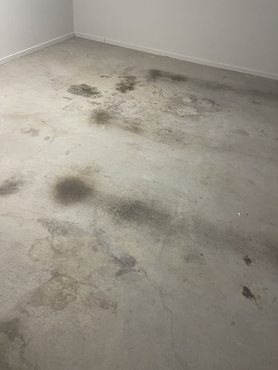Garage floor restoration